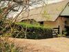 Pine Tree Lodge