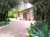 Pine Tree Lodge