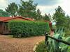 Pine Tree Lodge