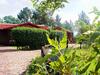 Pine Tree Lodge
