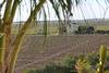 B&B La Vigna