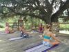 Agroturismo Masia Rural Cal Sim�