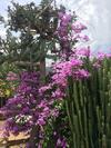 Bed & Breakfast El Agua Casa De Huespedes