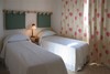 Life Apart Hotel