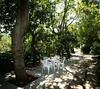 Bed & Breakfast L' Arancio In Fiore