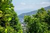 Bed & Breakfast L' Arancio In Fiore
