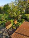 Hotel Logis H�tel de France