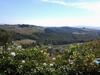 Apartamento La Rocca Di Montalbino