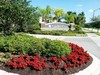 Hotel Caribe Cove Resort Orlando