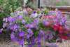 Bed & Breakfast Le Clos Pr�s Chambord