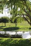 Bed & Breakfast Swelln2 Farm Lodge