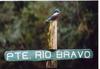 Lodge Caba�as Parque Tepuhueico