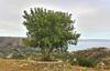 Holiday Home Plativola Ag.g.rethym 03