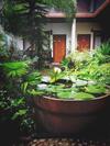 Posada Three Seasons Inn & Spa