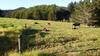 Bed & Breakfast Hilltop