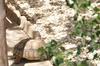 Bed & Breakfast La Villa Blanche