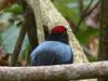 Bed & Breakfast Camping Castilletes Parque Tayrona