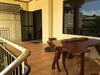 Hostal Dayview Tourist Home