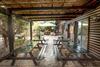 Lodge Pine Tree Cabin