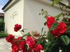 B&B La Falconera