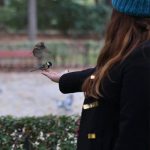 Imagen de Yvonne Rodríguez