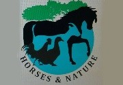 Actividades en Horses and Nature