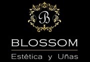 Actividades en Blossom Esttica y Uas (2 centros, consulta el texto)