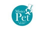 Actividades en Mister Pet Resort