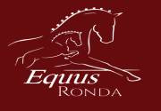 Actividades en Centro Hpico Equus Ronda