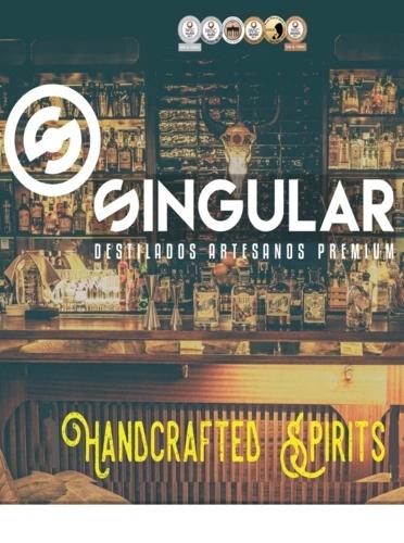 Masterclass Singular Spirits: gins & vodkas
