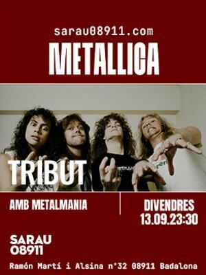 Tributo Metallica al Sarau08911