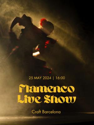 Flamenco Live Show