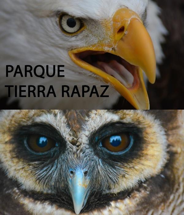 Tierra Rapaz