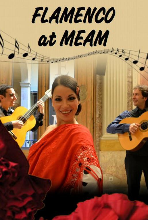 Flamenco en el MEAM