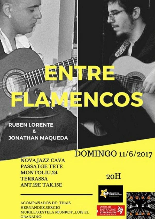 Entre Flamencos