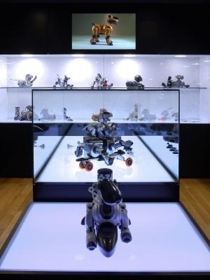 Descubre The Robot Museum con una visita guiada