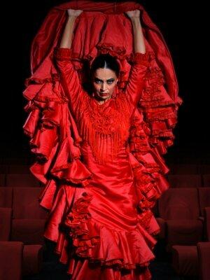 Emociones - Espectáculo flamenco