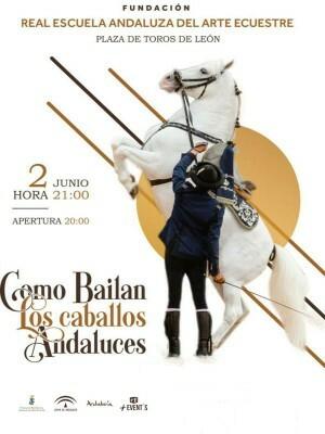 Como Bailan los Caballos Andaluces, en León