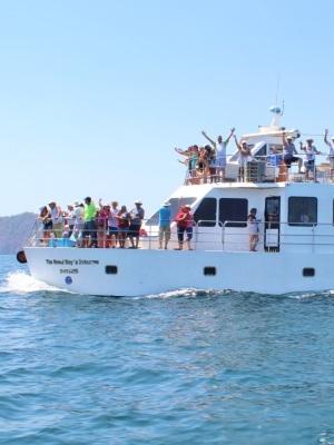 Viaja en catamarán hasta la Isla Tortuga