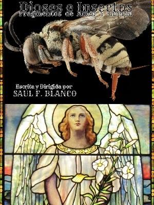 Dioses e Insectos