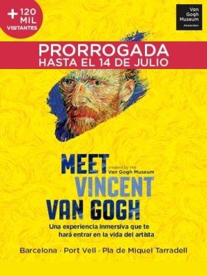 The Meet Vincent Van Gogh Experience 