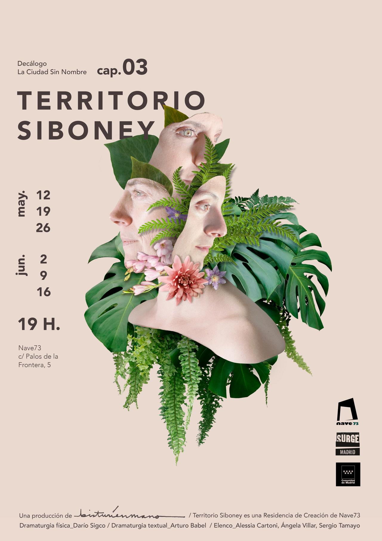 Territorio Siboney - SURGE Madrid