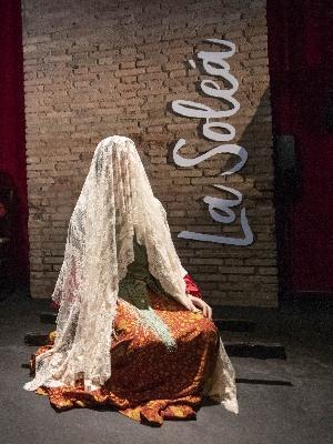 Espectáculo de Flamenco - Zambra, El origen