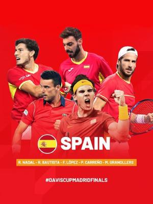 Davis Cup by Rakuten Madrid Finals - Abono dos partidos España