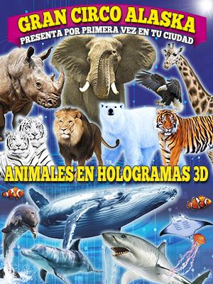 Gran Circo Alaska - Hologramas Animales 3D, en Alicante
