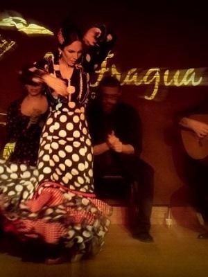 Espectáculo flamenco Tablao La Fragua