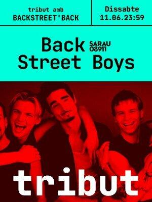 Tribut Backstreetboys al Sarau08911