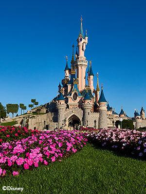 Disneyland® Paris, entradas de 1 día