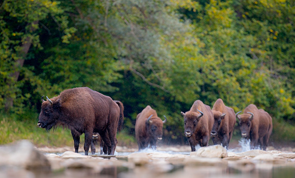 Museos imprescindibles