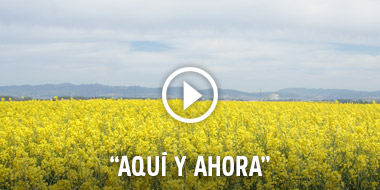 Aquí y ahora